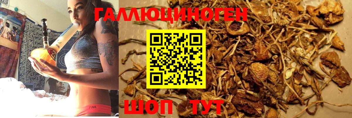 Галлюциногенные грибы Magic Shrooms Дмитров