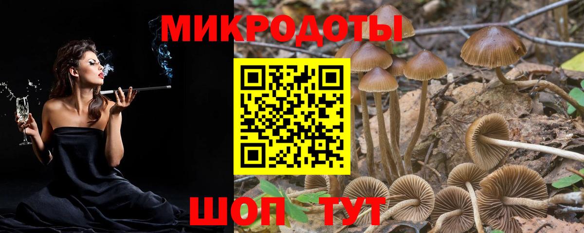 Псилоцибиновые грибы Psilocybe  Вход с VPN  Дмитров 