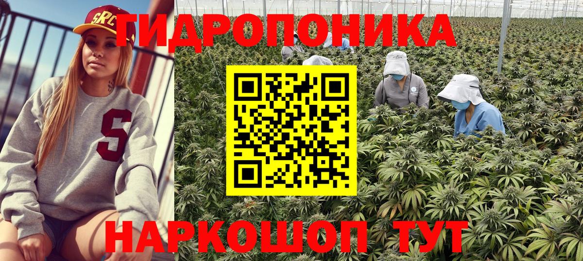 Каннабис SATIVA & INDICA Дмитров